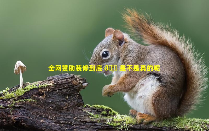 全网赞助装修到底 🦊 是不是真的呢